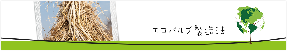 エコパルプ製造法